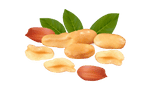 DoviPeanuts Yummy Tummy Granola Bars, Premium Peanut Butter, Almond Butter, Macadamia Butter, Pecan Butter, Doggo Peanut Butter & Mixed Nuts – Nutritious & Delicious Snacks | Port Elizabeth, Gqeberha | Powered by NeptuneLabs.