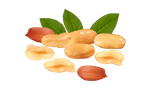 DoviPeanuts Yummy Tummy Granola Bars, Premium Peanut Butter, Almond Butter, Macadamia Butter, Pecan Butter, Doggo Peanut Butter & Mixed Nuts – Nutritious & Delicious Snacks | Port Elizabeth, Gqeberha | Powered by NeptuneLabs.