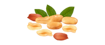 DoviPeanuts Yummy Tummy Granola Bars, Premium Peanut Butter, Almond Butter, Macadamia Butter, Pecan Butter, Doggo Peanut Butter & Mixed Nuts – Nutritious & Delicious Snacks | Port Elizabeth, Gqeberha | Powered by NeptuneLabs.