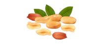 DoviPeanuts Yummy Tummy Granola Bars, Premium Peanut Butter, Almond Butter, Macadamia Butter, Pecan Butter, Doggo Peanut Butter & Mixed Nuts – Nutritious & Delicious Snacks | Port Elizabeth, Gqeberha | Powered by NeptuneLabs.