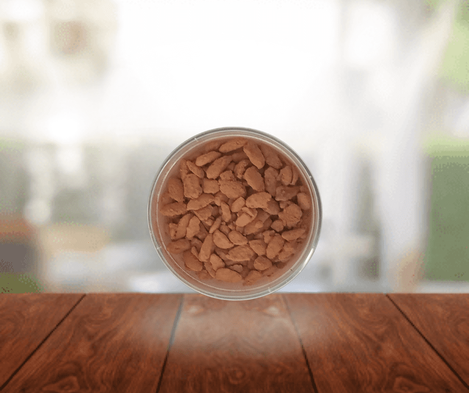 Cocoa Dusted Almonds
